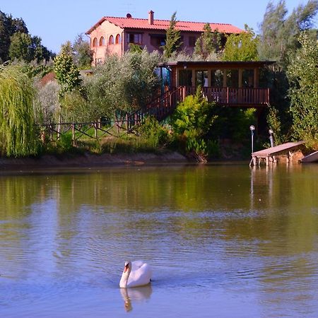 Agriturismo Cameli Certaldo Extérieur photo